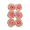 Prima Marketing The Plant Department Collection Flowers - Peachy Keen - 6 pcs / mulberry paper for Scrapbooking, Journaling Supplies, Planners, Kid DIY Art Crafts, Bullet Journal